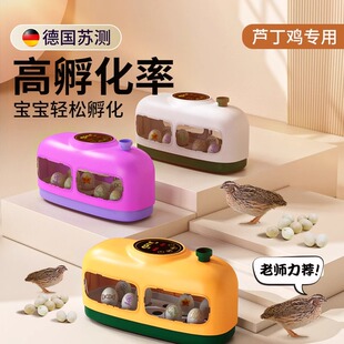 孵化器家用小型孵蛋器全自动卢丁鸡蛋幼鸡孵化机芦丁鸡孵化箱孵蛋
