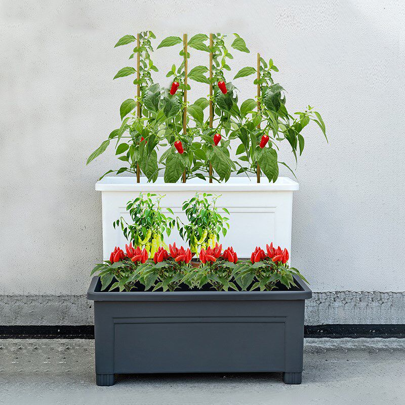 阳台种菜盆菜盆种植高脚大号花盆户外家用蔬菜水果种植箱长方形