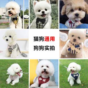 狗狗牵引绳小体型犬奶狗博美背心式胸背带吉娃娃茶杯犬约克夏专用
