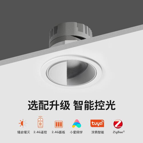 焦距照明偏光洗墙月半圆嵌入式射灯led全光谱高显色防眩天花孔灯