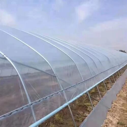 椭圆管骨架镀锌钢管温室连体拱形大棚蔬菜养殖花卉种植保温棚定制