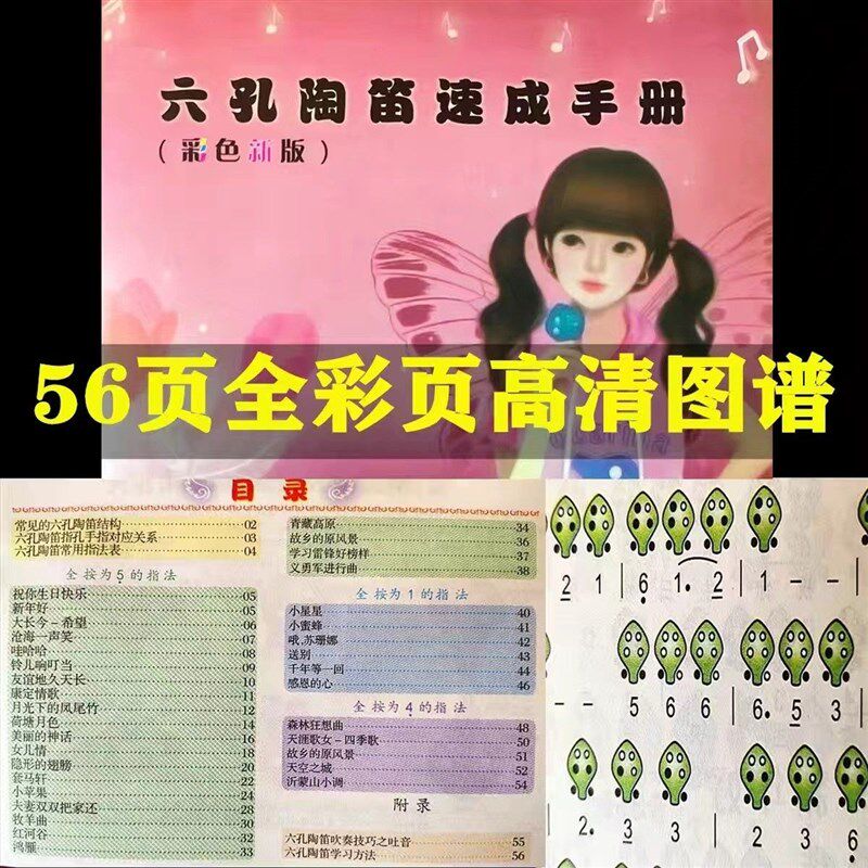 6孔12孔陶笛初学手册说明图形简谱配件乐谱