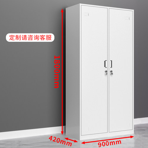 钢制员工铁皮柜两门更衣柜收纳神器护士宿舍三门换衣柜储物柜鞋柜