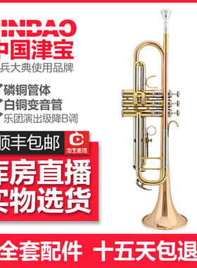津宝小号乐器专业演奏级儿童成人管乐队降b调黄铜磷铜小号乐器
