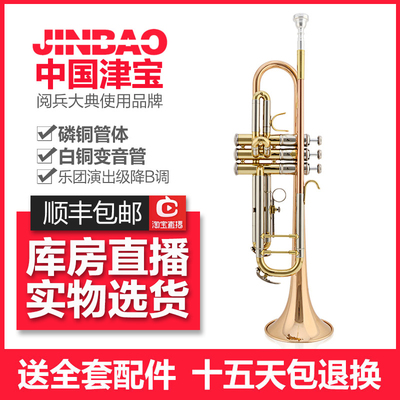 津宝小号乐器专业演奏级儿童成人管乐队降b调黄铜磷铜小号乐器