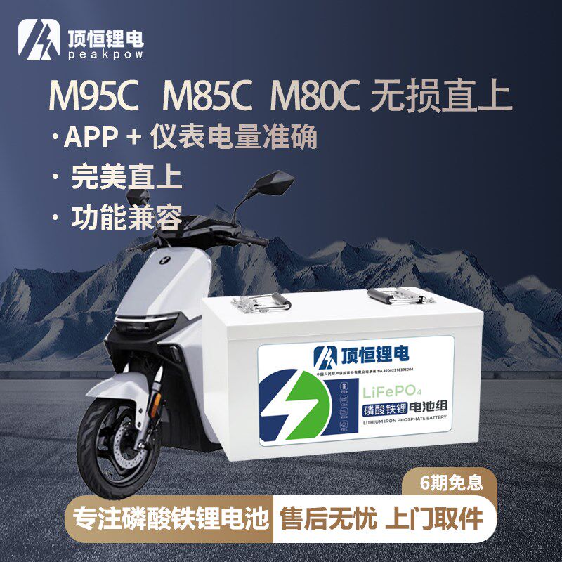 顶恒 九号M95c M85c M80c 系J列二轮电动摩托车磷酸铁锂电池图片