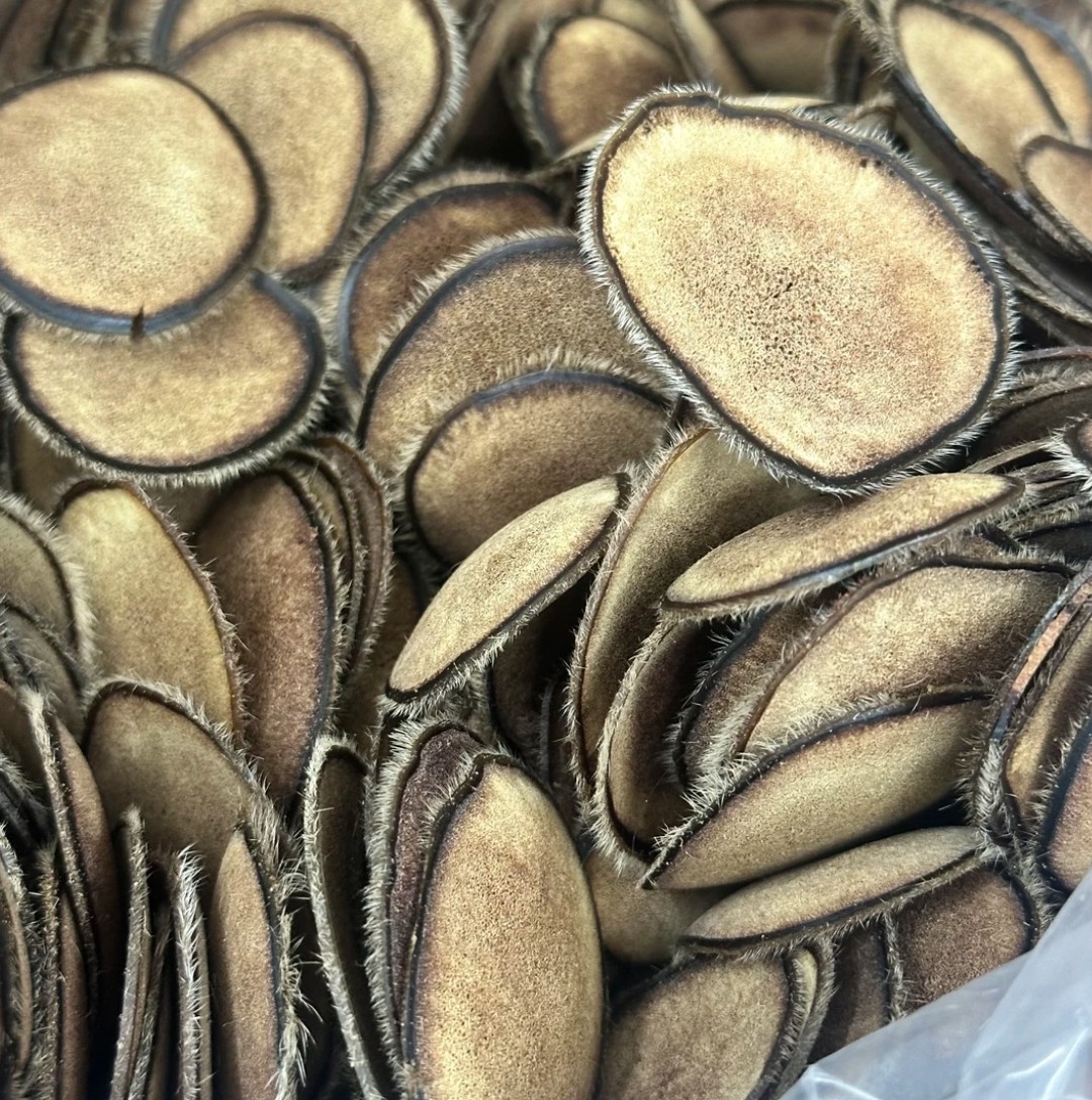 【善小舟】吉林鹿茸片黄粉片滋补干货中药材正宗20克泡水煲汤泡酒