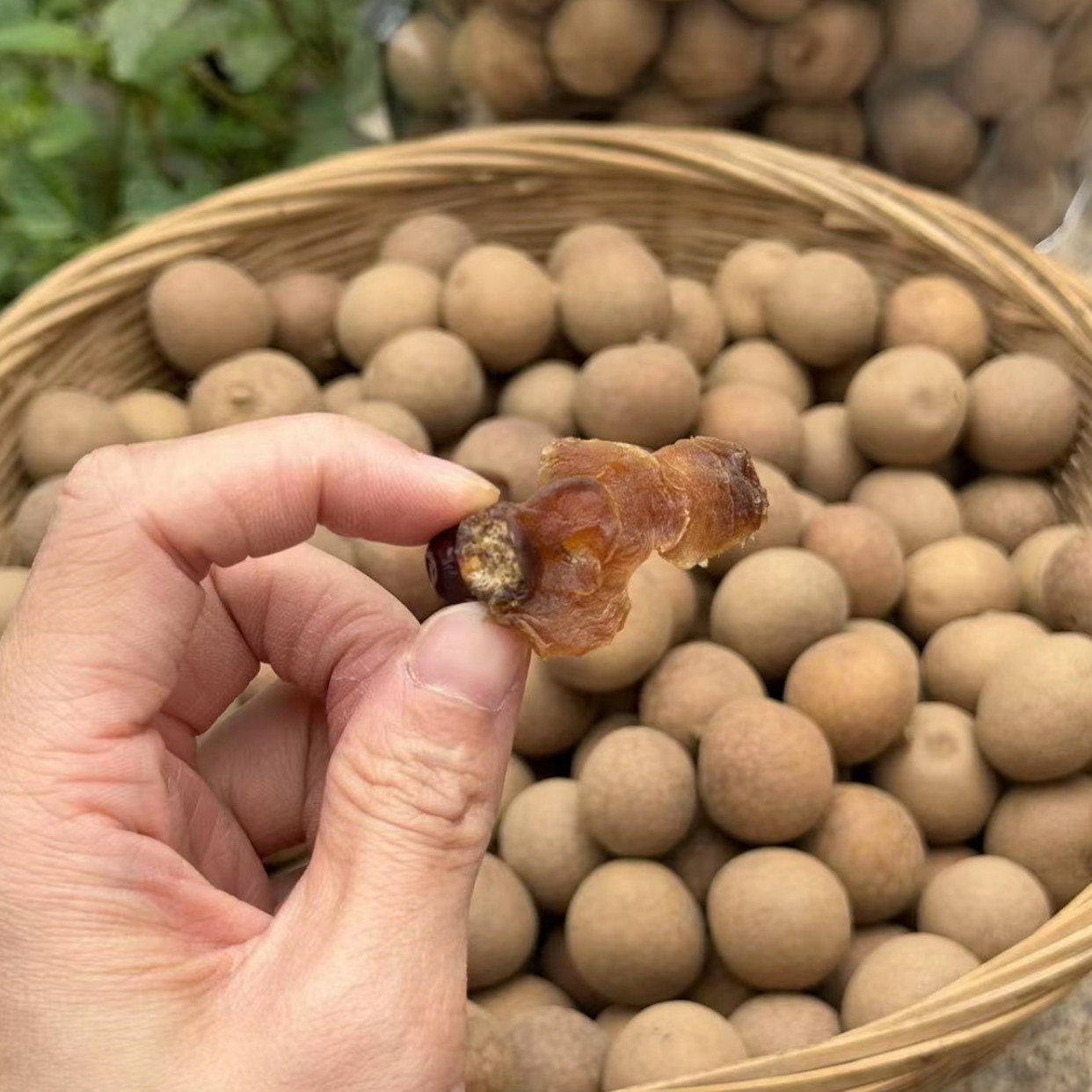 善小舟龙眼干桂圆干500g当季新货