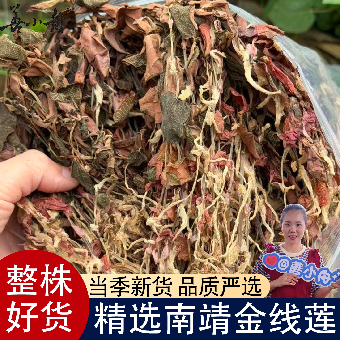 【善小舟】正宗福建南靖金线莲干货整株种植中药材非野生养生茶