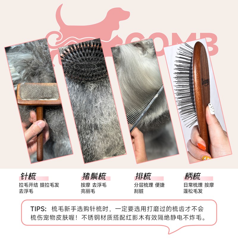 戴丝尼宠物猫狗美容专业工具梳子排柄针分界梳开结去浮毛拉毛