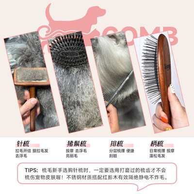戴丝尼宠物猫狗美容专业工具梳子排柄针分界梳开结去浮毛拉毛