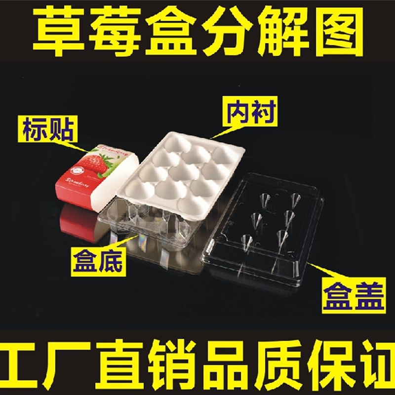 草莓快递打包盒分隔透气水果包装盒11粒15粒20粒装透明加厚草莓盒