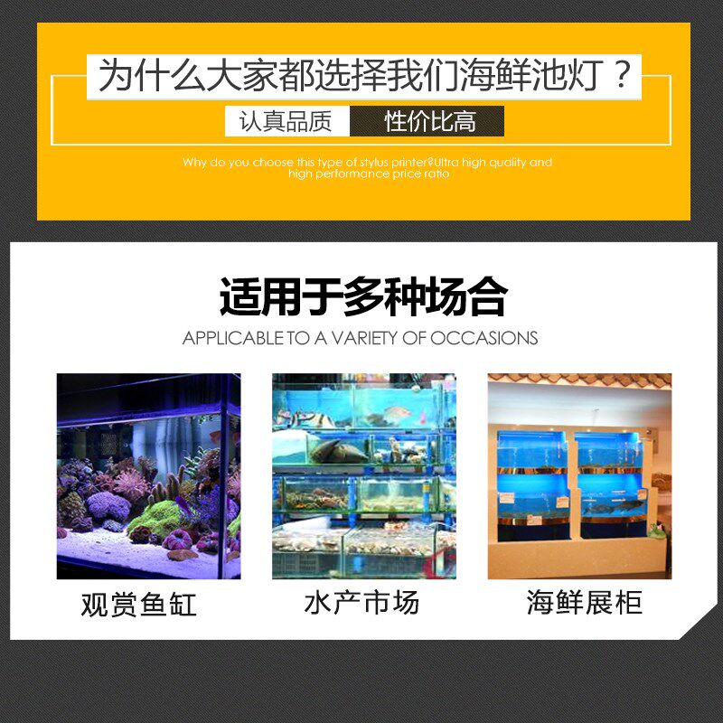 220V-海鲜池鱼缸LED照明灯节能防水方管蓝色外壳PVC管道配件灯光