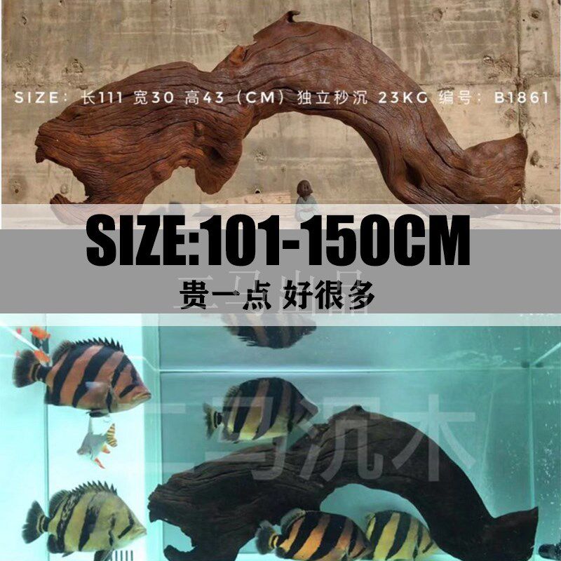 二马精品1-1.5m水族造景 沉木大号大型紫柚木龙鱼缸拱桥 免煮包邮