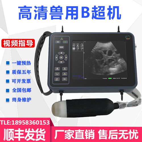 高清兽通通 兽用B超机羊牛用b超测孕仪器猪用B超机畜牧B超机便携