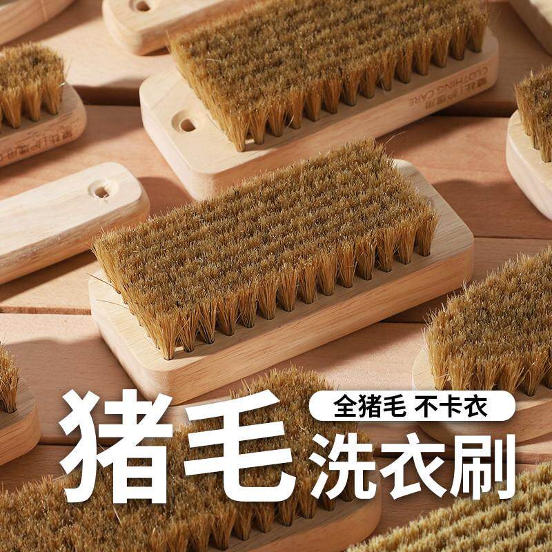 猪毛板刷洗鞋刷家用洗衣刷猪鬃毛专用刷子洗棉质衣服软毛刷不伤衣