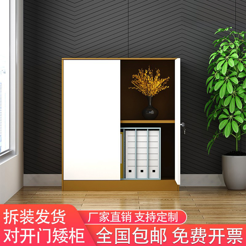 文件柜 高端时尚办公资料柜矮柜档案柜拆装组装加厚储物 铁皮柜