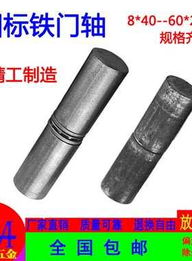 包邮国标铁门轴铁铰链脱卸门轴圆柱合页焊接合页机柜门轴电焊铰链
