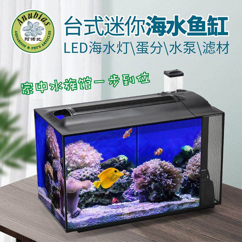 阿诺比迷你海水鱼缸套缸+桌面侧滤珊瑚缸蛋白质分离器+玻璃书桌用