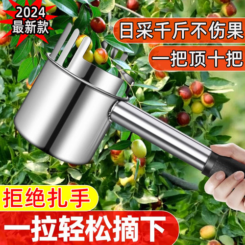 2024新款摘酸枣神器不锈钢加长山枣采摘专用收集工具蓝莓野果杨梅