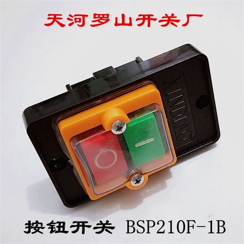 天河罗山开关厂 按钮开关 BSP210F-1B旋钮开关10A AC440V带塑料盒