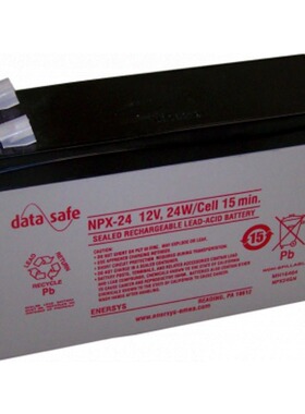 原装正品data safe NPX-24 12V24W应急电源 UPS电源 照明用蓄电池