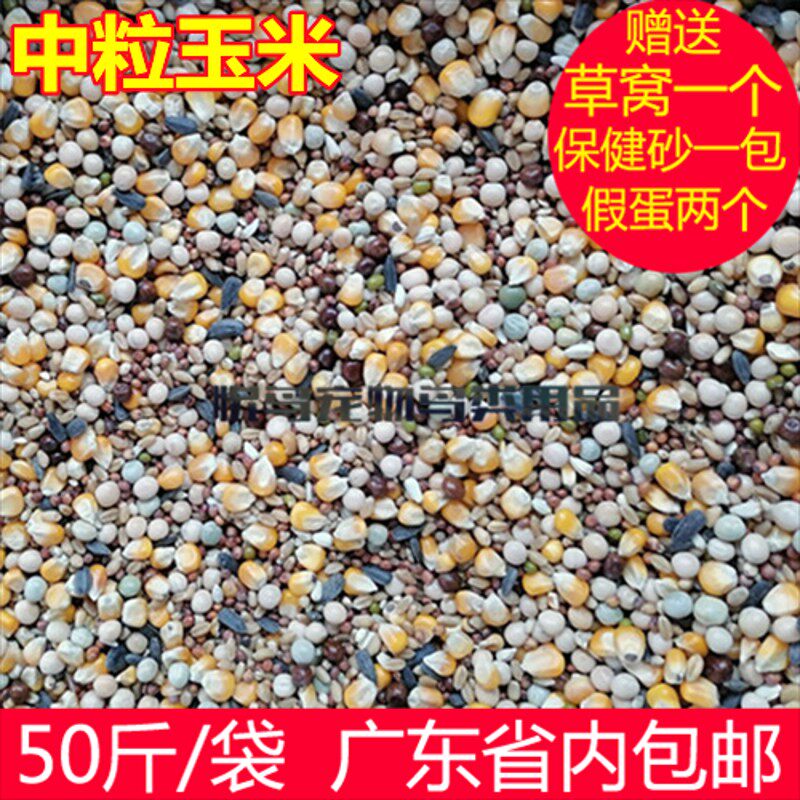 多玉米鸽子粮50斤 鸽粮广东包邮 鸟食信鸽肉鸽免邮饲料 赛鸽观赏