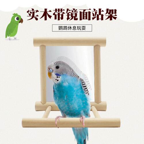 实木站杆镜子鹦鹉解压玩具玄凤牡丹虎皮用品悬挂架互动中小鸟笼子