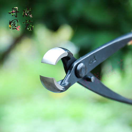 朱记球节剪专业修剪盆景工具 不锈钢修枝剪适用树瘤修剪