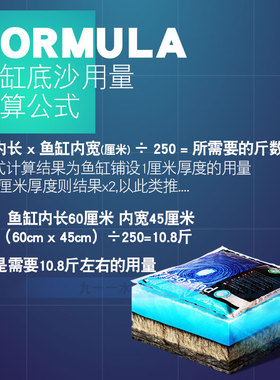 法国红十字 海水鱼缸造景装饰白色底沙 珊瑚礁岩沙 1mm 2mm 颗粒