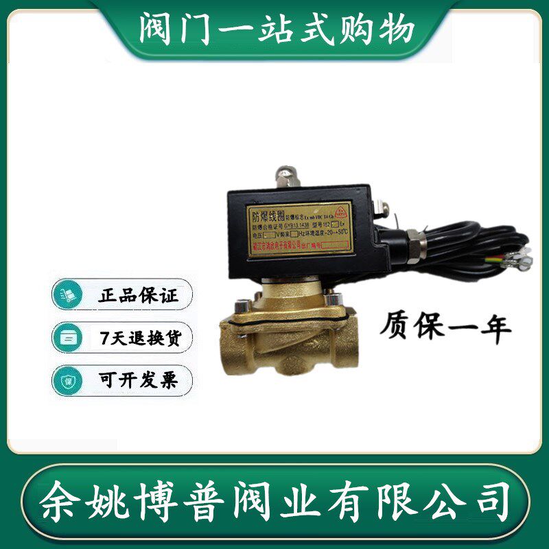 余姚博普 防爆型电磁阀 2W型 丝口黄铜电磁阀 4分 6分 1寸 包邮