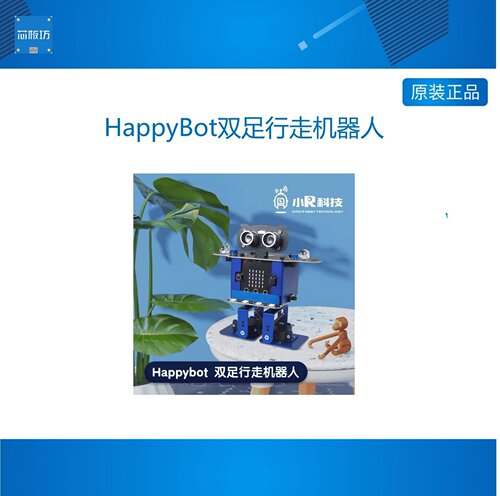 小R科技HappyBot双足舞蹈机器人STEAM创客教育编程小车microbit