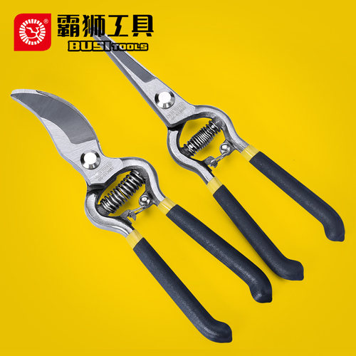 霸狮双色柄花枝剪修枝剪园艺剪刀花卉剪家用摘果剪粗枝剪8寸剪刀