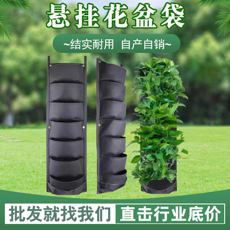 阳台种菜盆垂直绿化植物