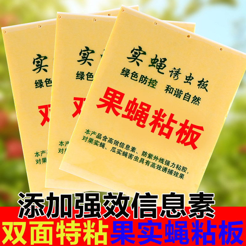 双面果蝇针蜂粘粘虫板板瓜实蝇粘胶板诱粘板果蝇引诱剂桔小实蝇性