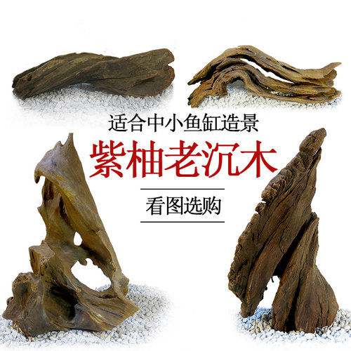 鱼缸沉木造景木紫柚木头水草缸树根大号流木紫柚木 乌龟躲避晒台