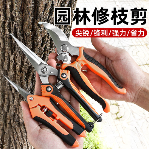 果树剪刀修枝神器修枝摘果剪花卉剪树枝绿化嫁接园艺剪不锈钢剪刀