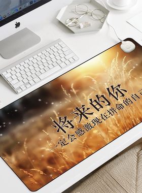 暖桌垫超大号加热鼠标垫办公室电脑桌面书写垫学生写字发热暖手垫