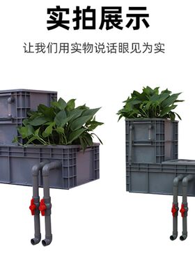 鱼池生态过滤箱鱼缸水培上置过滤盒锦鲤池外置循环系统水族种花草