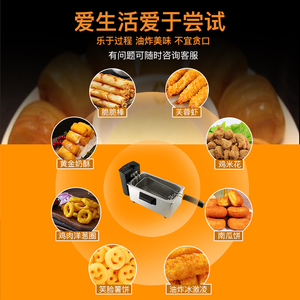 裕源 油炸锅 家用小 炸锅 电炸炉 商用电 炸炉 薯条锅 恒温油炸机