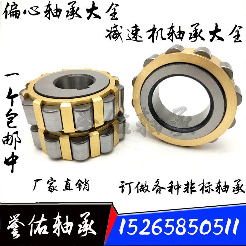 减速机偏心轴承RN205 RN圆柱滚子轴承