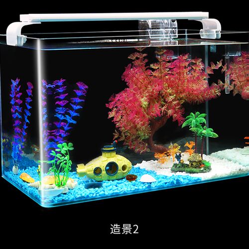玻璃热弯高清鱼缸办公桌面小型生态创意造景金鱼龟生态水族箱裸缸