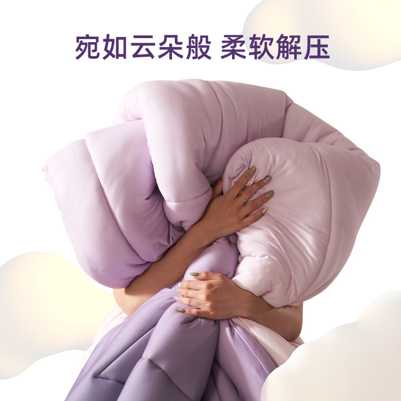 艾美家蓬蓬被春秋被子四季通用棉被冬被加厚保暖单双人被芯空调被