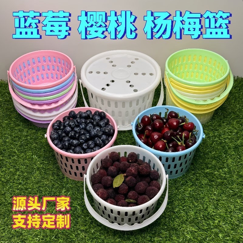 蓝莓包装篮包装桶圆采摘篮杨梅小篮子塑料小桶樱桃篮小白篮带盖子