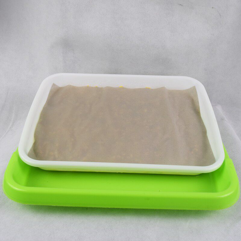 芽苗菜育苗纸育苗盘纸上种菜种菜芽菜豆苗小麦苗育苗纸包邮