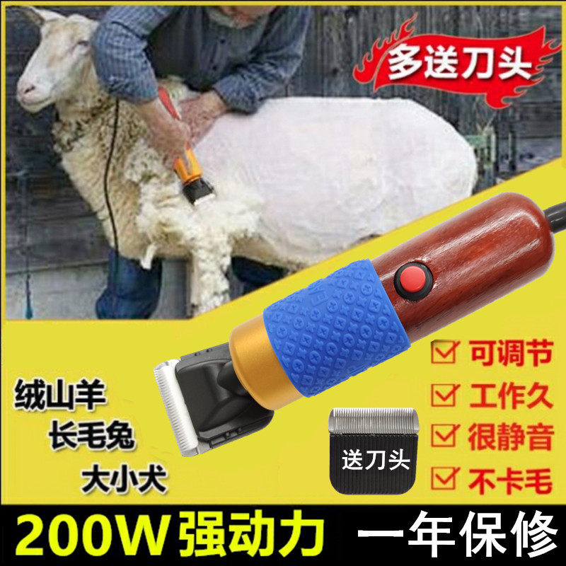 专业有线电推子宠物电推剪大功率电动绒山羊剪剃狗 长毛兔