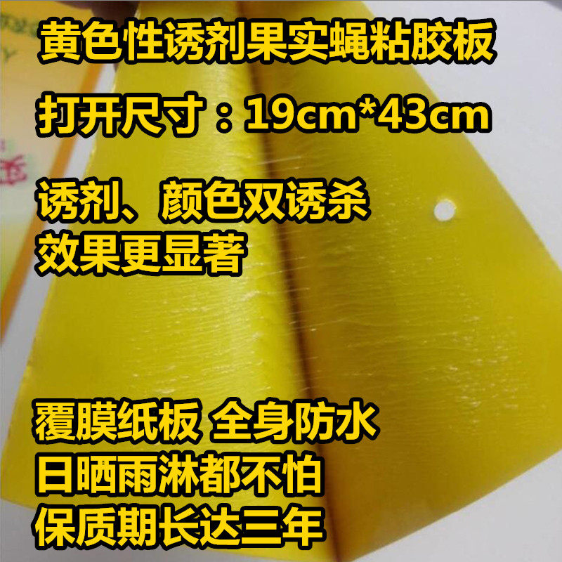果实蝇诱粘板诱虫板粘虫板果树瓜果园诱杀粘黏沾果实蝇板贴纸包邮
