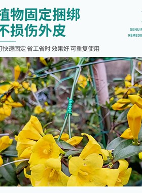 园艺扎线带绿色包塑扎丝自带剪刀月季爬藤植物固定绳捆绑支架造型