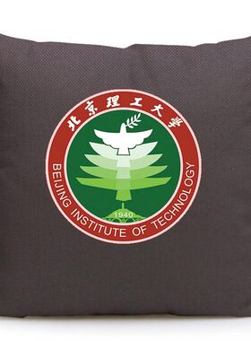 北京理工大学学生靠垫午休枕头沙发抱枕纪念品周边定制文创礼品