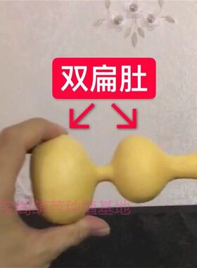 双扁肚小三挺葫芦种大长粗翻嘴稳坐型特大中八宝宫廷庭亚腰杆子籽